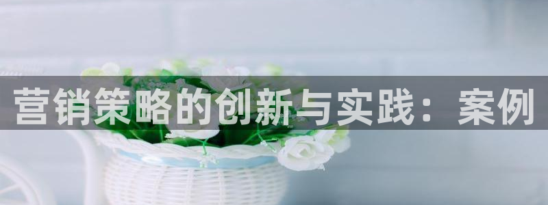 必赢平台官方网站登录