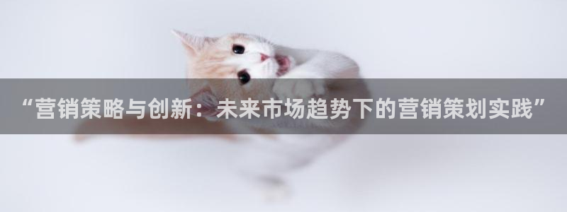 必赢棋脾9655