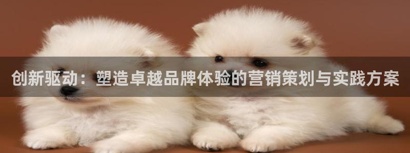 必赢国际app下链接