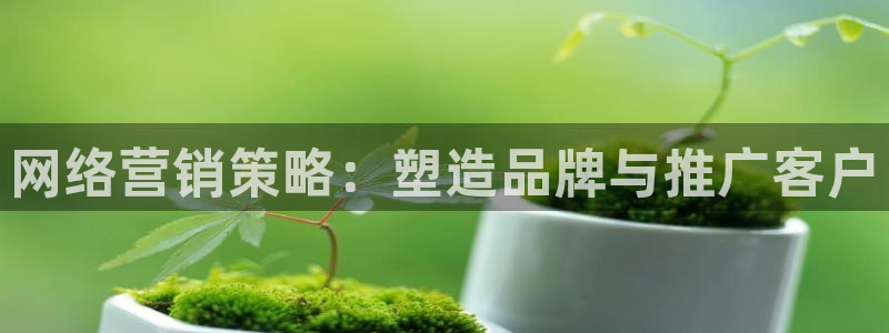 必赢官网网址多少号：网络营销策