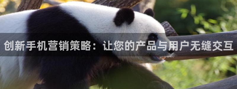 必赢集团网站改成多少