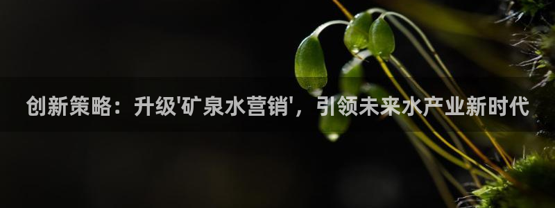必赢官网下载安装app：创新策