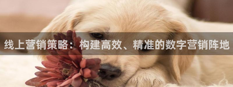 必赢亚赢网站官网下载手机版安装