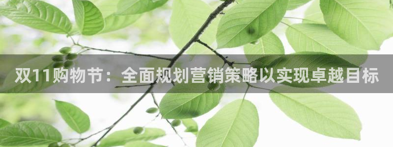 必赢线上网址