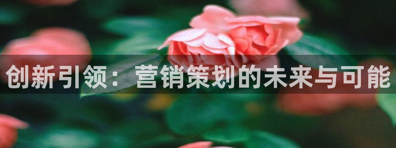 必赢网址手机主页怎么设置：创新