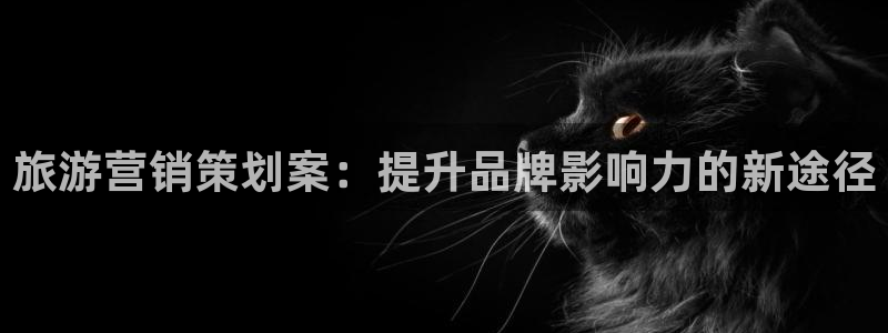 必赢官网app下载