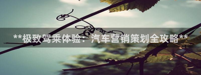 必赢亚赢网站官网下载安卓手机