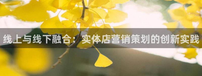 必赢国际app下链接