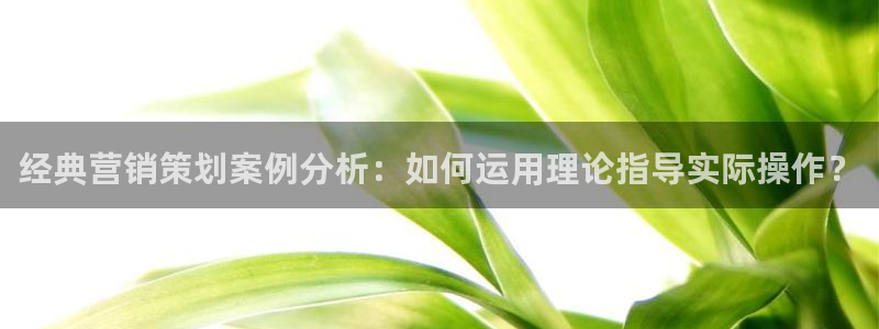 必赢网址
