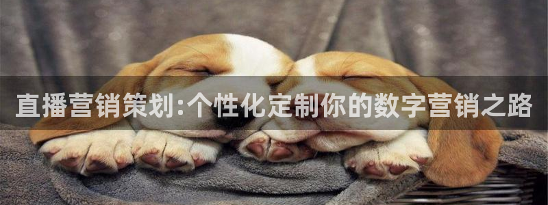 必赢手机app下载 最新版本