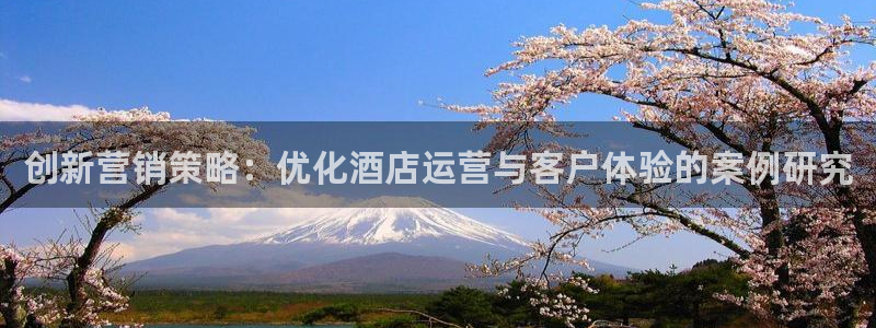 必赢科技北京有限公司