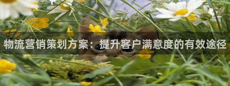 必赢官网app下载安装手机版苹果