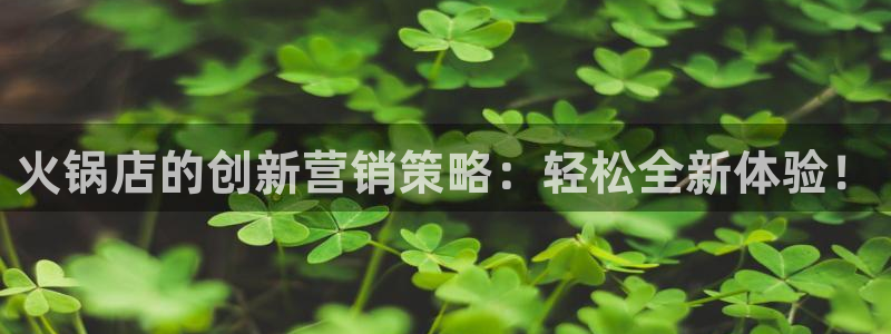 必赢手机app下载官网最新版