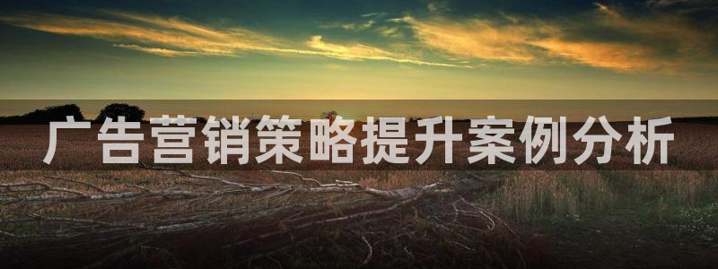 必赢官网入口下载app