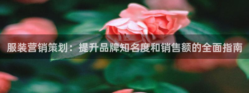 必赢app官方网站