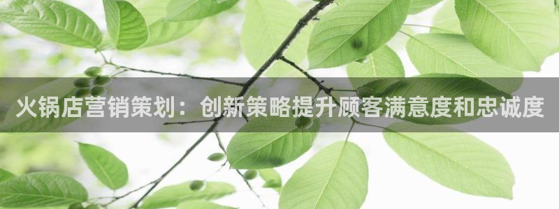 必赢565net官网