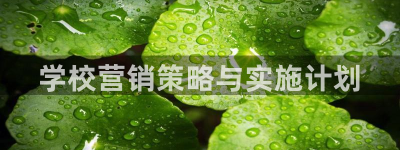 必赢官网app下载安装最新版