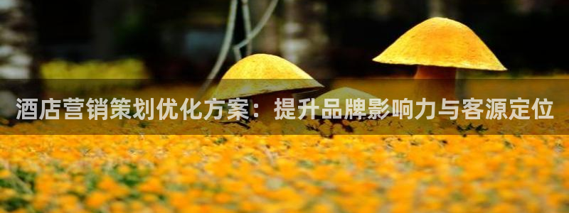 必赢888国际集团