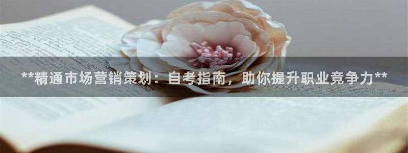 必赢集团winex