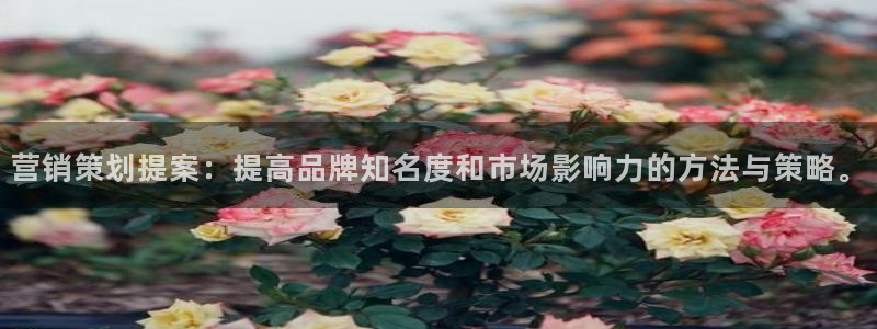 必赢官网入口下载安装苹果