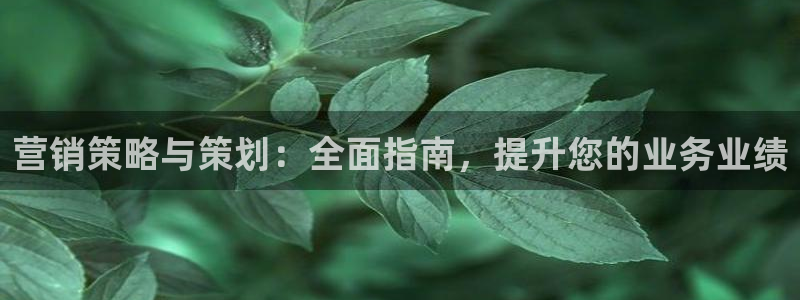 必赢活动iosapp下载