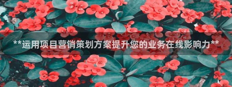 必赢272net手机版-新版app下载