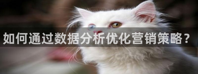 必赢3003+会员账号