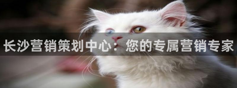 必赢最新消息