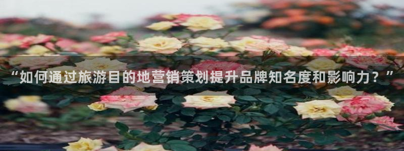 必赢下载软件