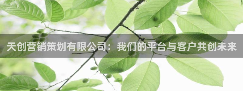 必赢app安卓版下载
