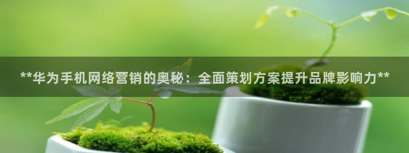 必赢下载地址