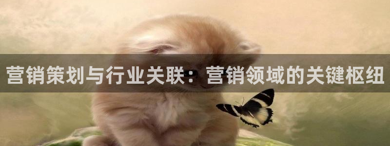 必赢棋盘app下载
