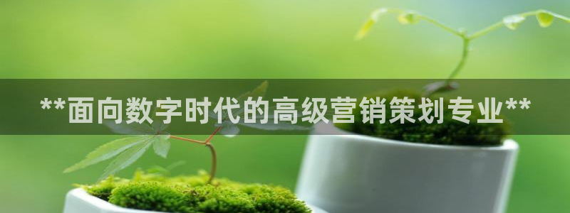 必赢国际437怎么样