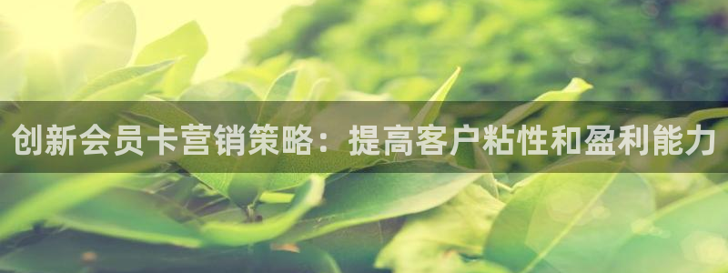 必赢国际app下链接