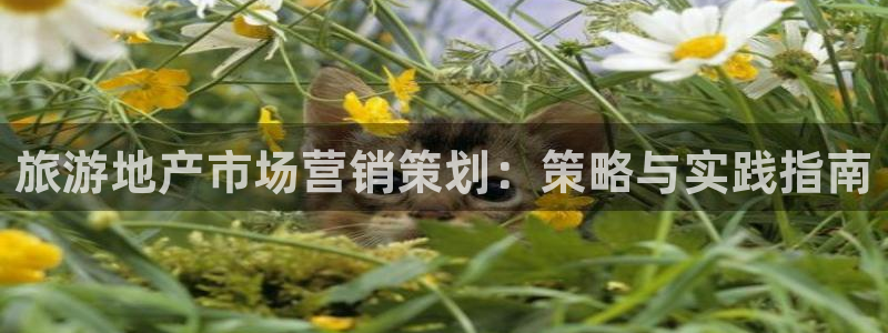 必赢平台怎么样把钱提到银行卡里