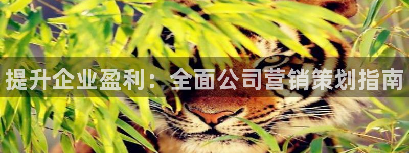 必赢这个平台怎么样可靠吗