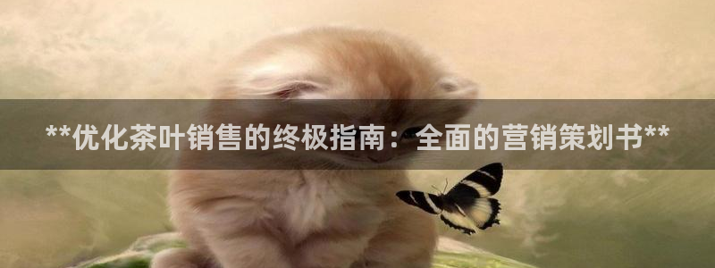 必赢官网app下载