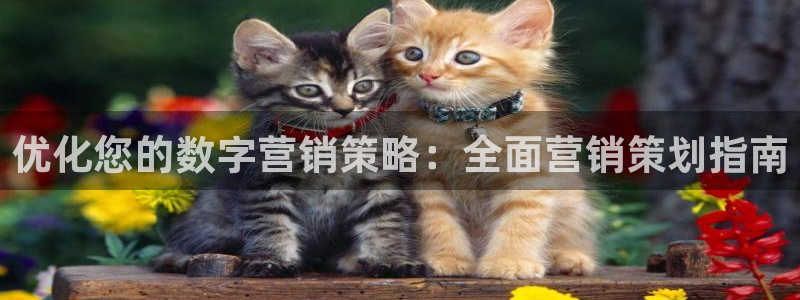 必赢3003必赢贵族宾会