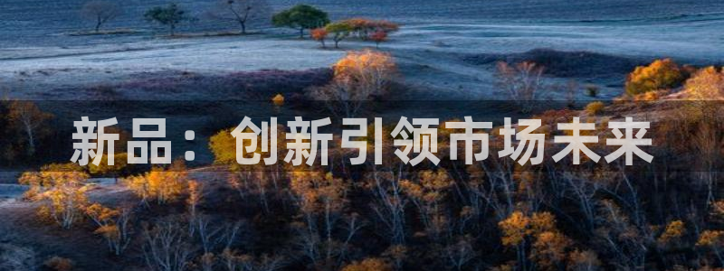 必赢最新官网