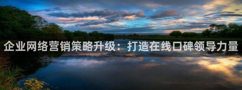 必赢平台网