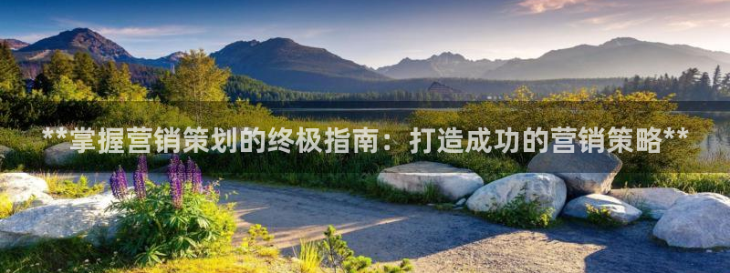 9965必赢游戏app