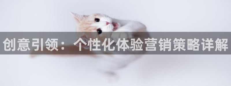 必赢官网app下载苹果版