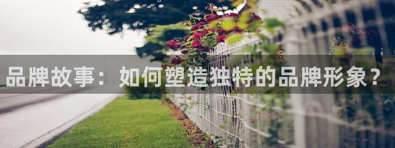 必赢网怎么打不开了呀
