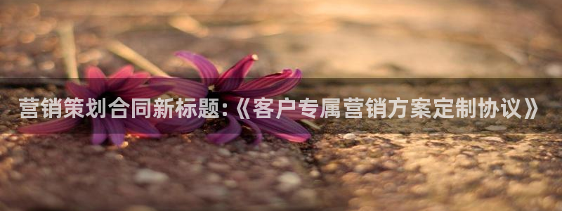 必赢官网网站入口下载