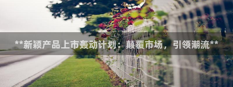 必赢下载