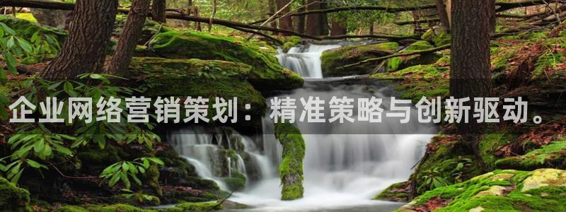 必赢首页