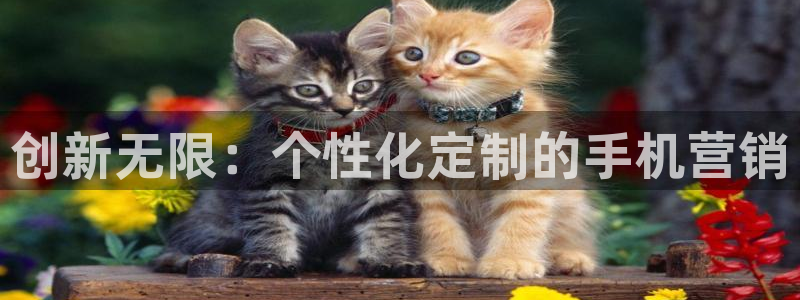 必赢官网app下载苹果版