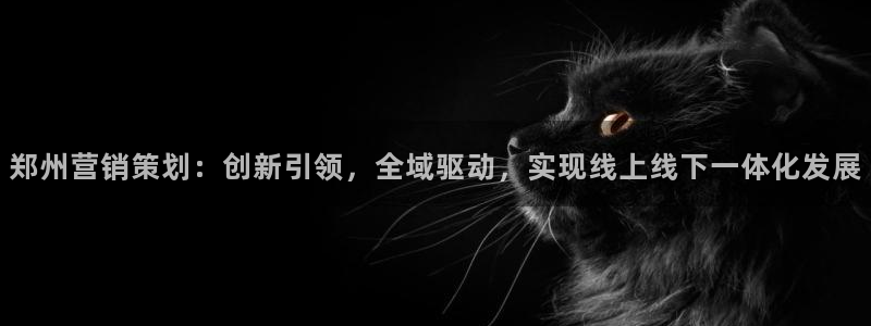 必赢线上网址查询