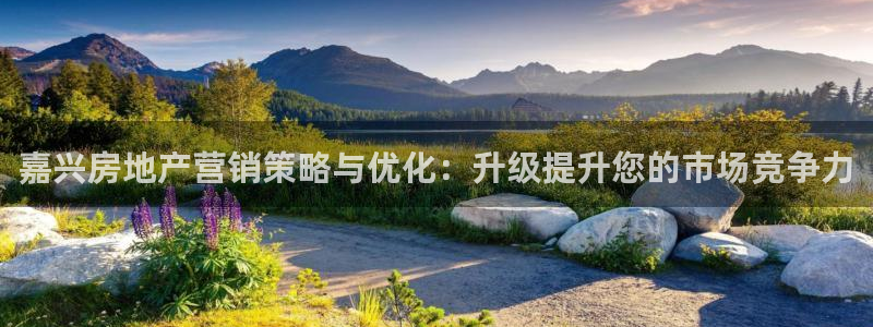 必赢网址手机主页在哪