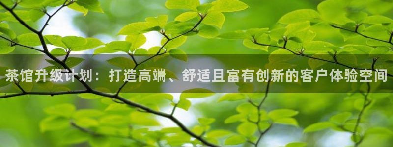 必赢手机app下载 最新版